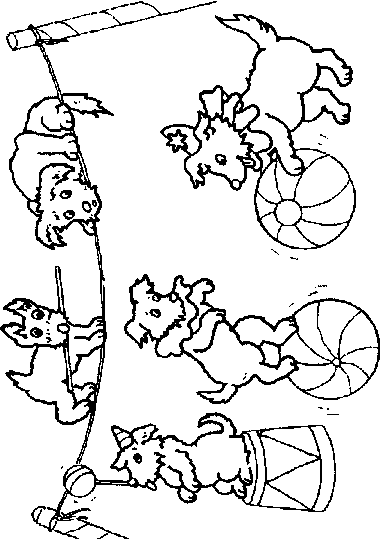 Kids-n-fun.com | 39 coloring pages of Circus
