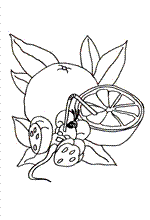 coloring page Diddl