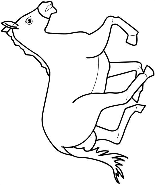 Kids-n-fun.com | Coloring page Animals galloping horse