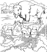 coloring page Zoo