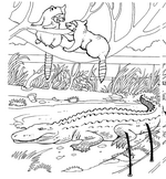 coloring page Zoo