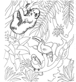 coloring page Zoo