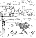 coloring page Zoo