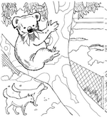 coloring page Zoo