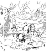 coloring page Zoo