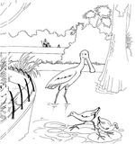 coloring page Zoo