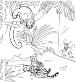coloring page Zoo