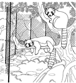 coloring page Zoo