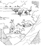 coloring page Zoo