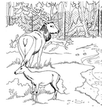 coloring page Zoo