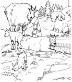 coloring page Zoo