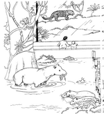 coloring page Zoo