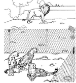 coloring page Zoo