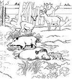 coloring page Zoo