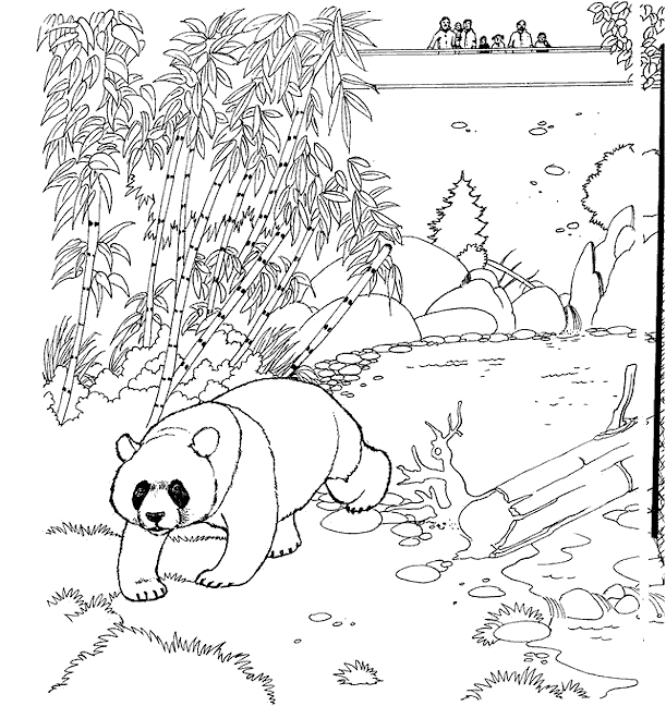 Kids-n-fun.com | 21 coloring pages of Zoo