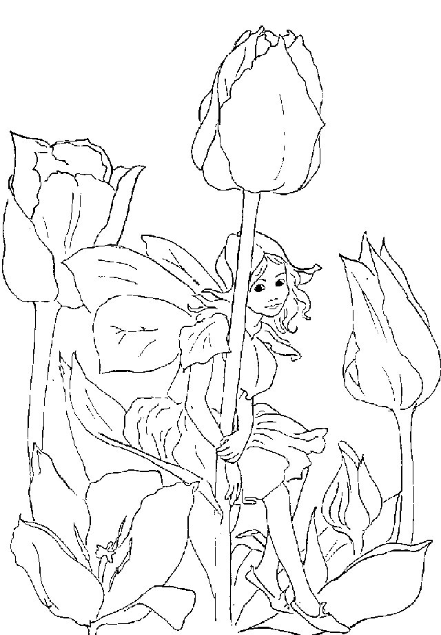 Kids-n-fun.com | Coloring page Fairies Fairies