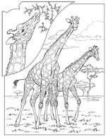 Kids-n-fun | 45 coloring pages of Giraffe