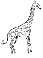 Kids-n-fun | 45 coloring pages of Giraffe