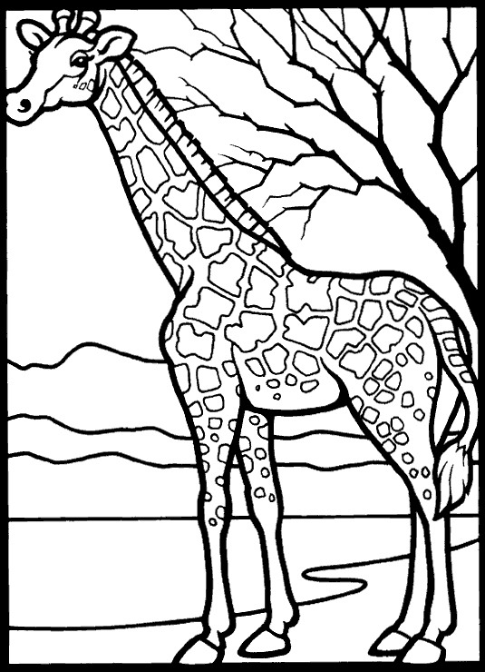 Kids-n-fun.com | 45 coloring pages of Giraffe