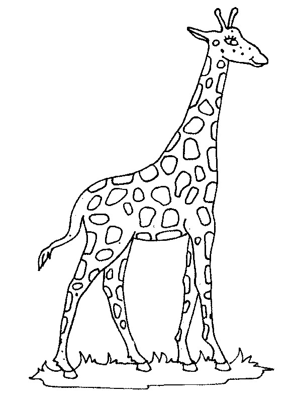 Kids n fun.com   45 coloring pages of Giraffe
