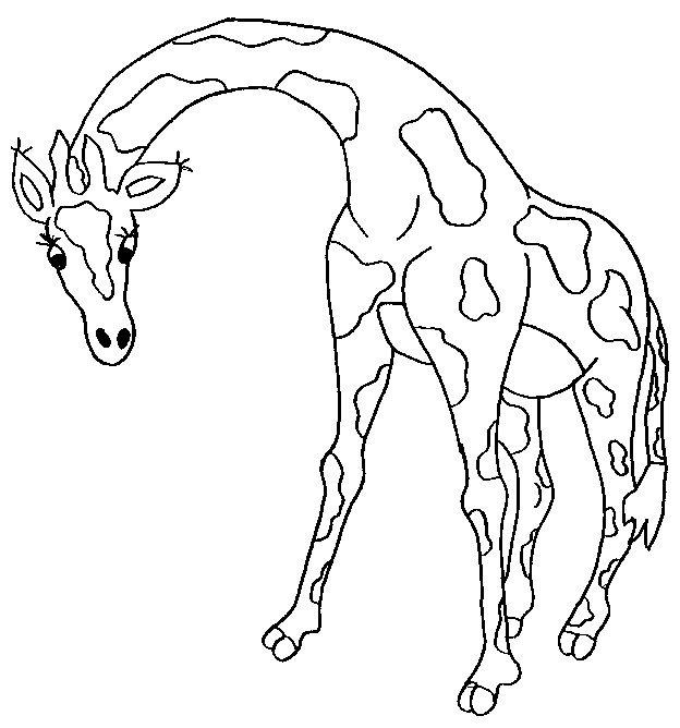 Kids-n-fun.com | 45 coloring pages of Giraffe