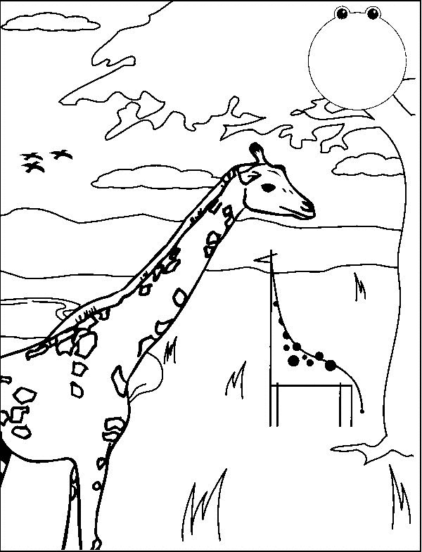 Kids-n-fun.com | 45 coloring pages of Giraffe