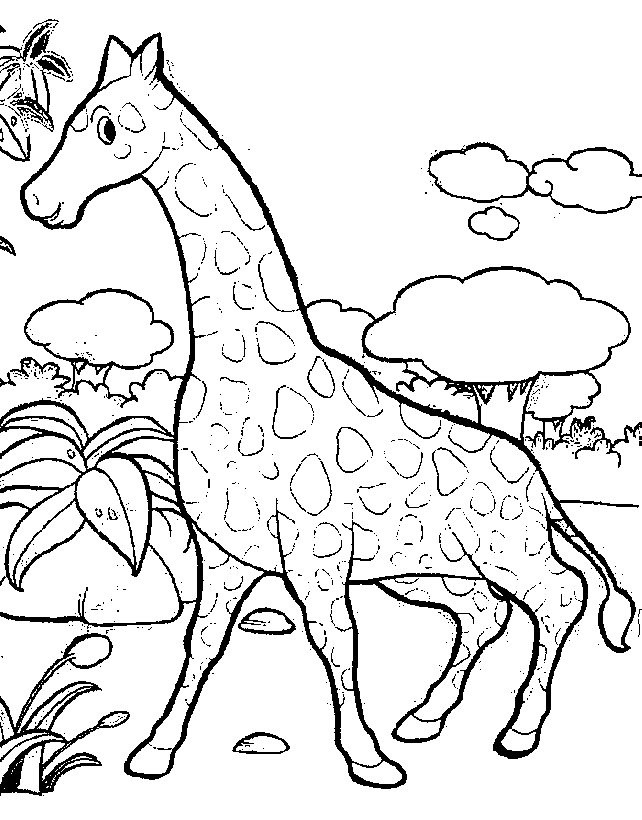 Kids-n-fun.com | 45 coloring pages of Giraffe