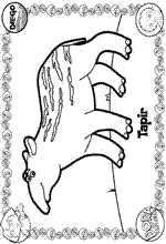coloring page Diego, Go Diego Go