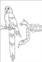 coloring page Diego, Go Diego Go