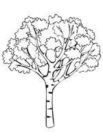 coloring page Autumn