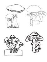 coloring page Autumn