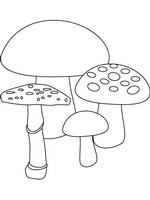 coloring page Autumn