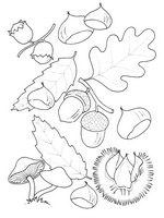 coloring page Autumn