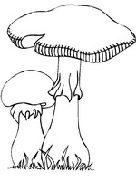 coloring page Autumn