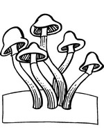 coloring page Autumn