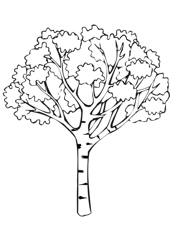 Kids-n-fun.com | 48 coloring pages of Autumn