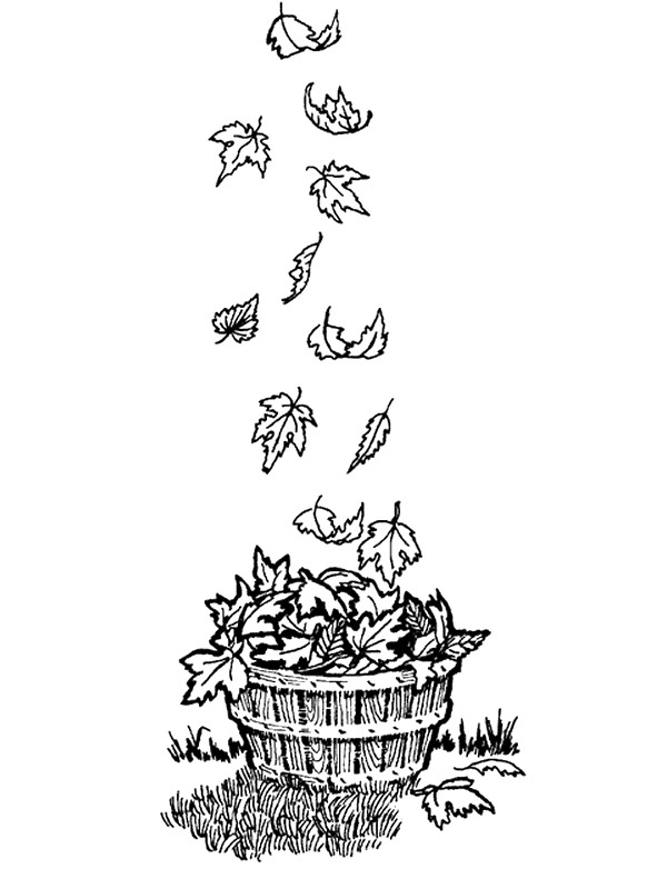 Kids-n-fun.com | 48 coloring pages of Autumn