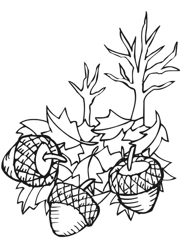 Kids-n-fun.com | 48 coloring pages of Autumn