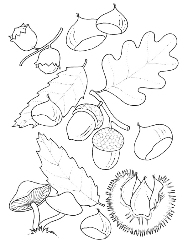 Kids-n-fun.com | 48 coloring pages of Autumn