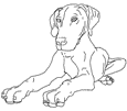 Kids-n-fun | 17 coloring pages of Dogs