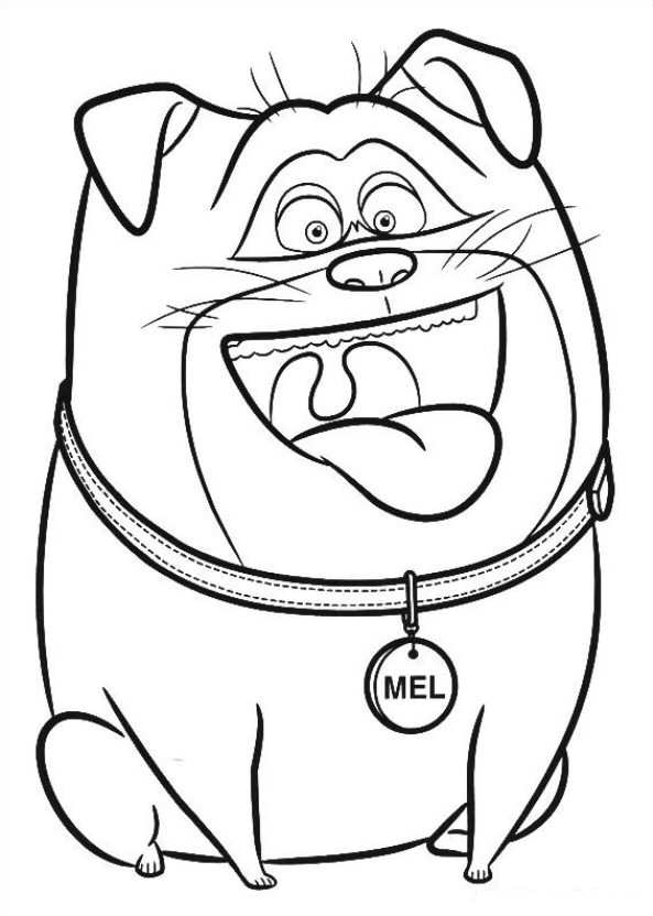 Kids-n-fun.com | 29 coloring pages of Secret Life of Pets