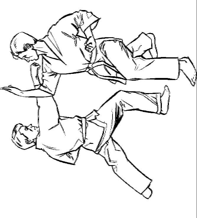 10 coloring pages of Karate