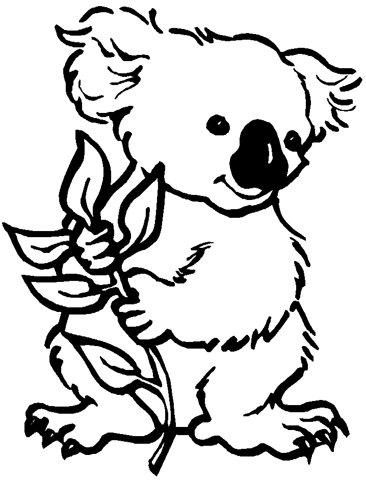 Kids-n-fun.com | 11 coloring pages of Koala bears