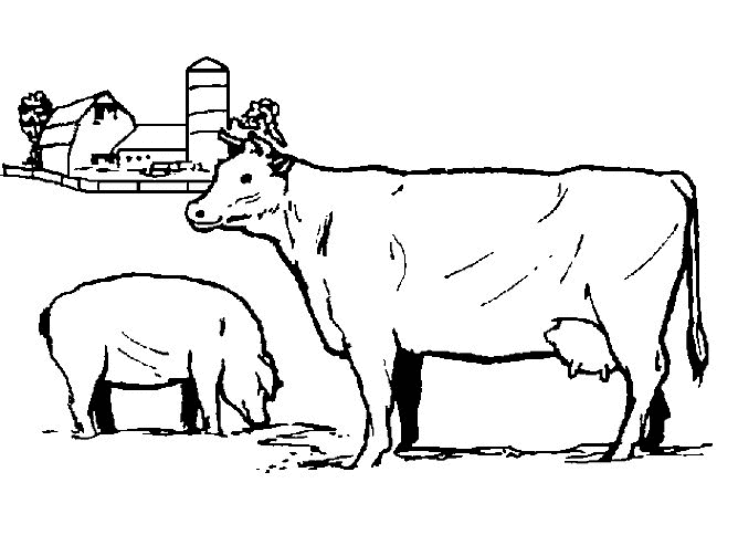 Kids-n-fun.com | 19 coloring pages of Cows