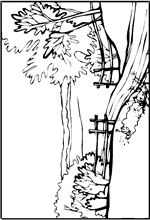 Kids-n-fun | 10 coloring pages of Landscapes