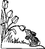coloring page Spring