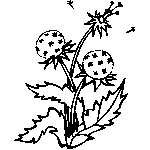 coloring page Spring