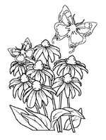 coloring page Spring