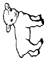 coloring page Spring