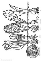 coloring page Spring